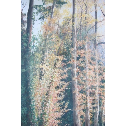 580 - Margot Smith (Guernsey, 1931-2014) - 'Woodland Scene', oil on canvas, signed 'Margot' dated 1986, 76... 