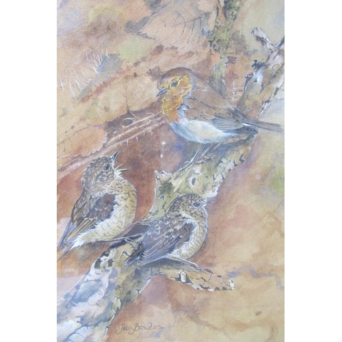 589 - Ian Bowls/Jan Bowles (20th/21st Century) - A fine collection of 8 ornithological watercolours (sizes... 