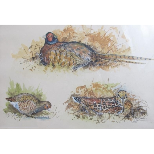 589 - Ian Bowls/Jan Bowles (20th/21st Century) - A fine collection of 8 ornithological watercolours (sizes... 