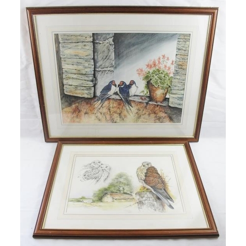 589 - Ian Bowls/Jan Bowles (20th/21st Century) - A fine collection of 8 ornithological watercolours (sizes... 