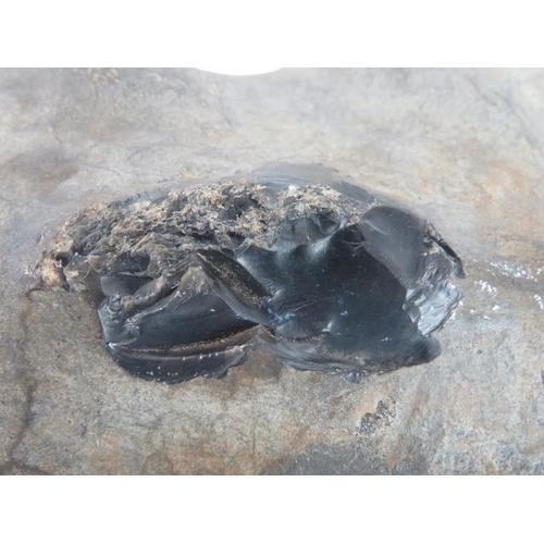 59 - Natural History: A large obsidian volcanic glass rock specimen. 29 cm length. 
Condition report: Nat... 