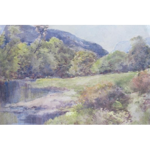 596 - Charles Adams (1859-1931) - 'Rural river landscape', watercolour, signed, 27cm x 42cm, framed.
Condi... 