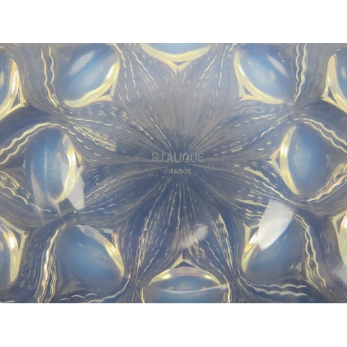 2 - A Rene Lalique ‘Bulbes’ pattern opalescent glass plate. Decorated with bulbs radiating from a centra... 