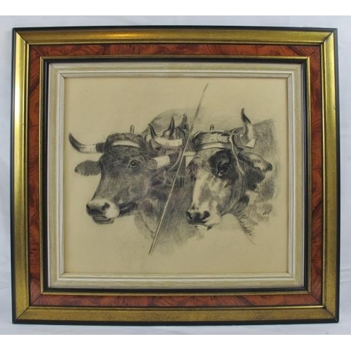 606 - M.S (1901) - 'Sturdy of cattle', pencil drawing, signed and dated 1901, 33cm x 38cm, framed.
Conditi... 