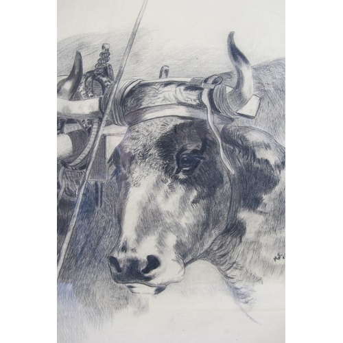 606 - M.S (1901) - 'Sturdy of cattle', pencil drawing, signed and dated 1901, 33cm x 38cm, framed.
Conditi... 