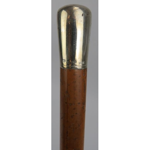 153 - An Edwardian silver mounted malacca cane walking stick. Of tapered form with a brass and steel ferru... 