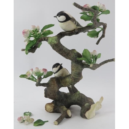 261 - A Connoisseur of Malvern ‘Coal Tit with Crab Apple’ porcelain ornament. Limited edition number 33 of... 