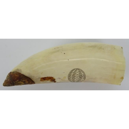 85 - A Victorian scrimshaw whale tooth, circa/post 1850’s. Detailed engraved decoration depicting ‘Horste... 