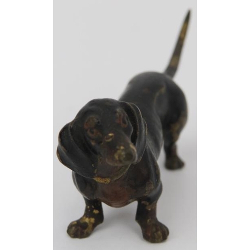 99 - An Austrian cold painted bronze dachshund, late 19th/early 20th century. Struck ‘Austria’ mark benea... 