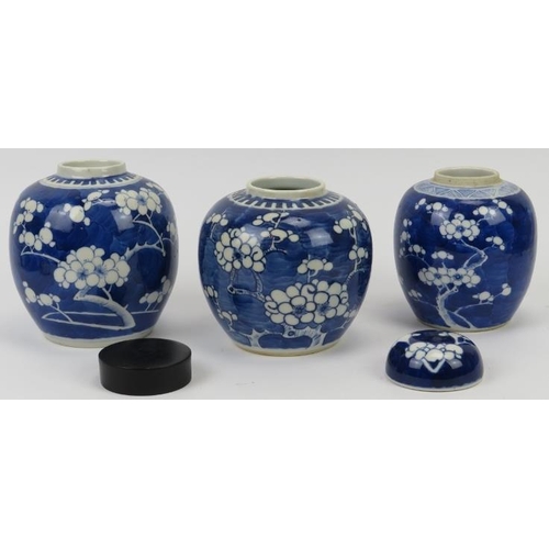 162 - Three Chinese blue and white ginger jars, 19th century. Of ovoid form and decorated with blossoming ... 