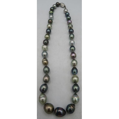 405 - An AAAA Tahitian Southsea pearl necklace, approx 13mm x 10mm. The drop shaped pearls have an excepti... 