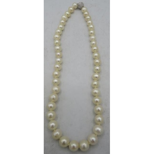 406 - A strand of rare graduated large white Akoya pearls from Australia, 10mm/12mm. The white metal ball ... 