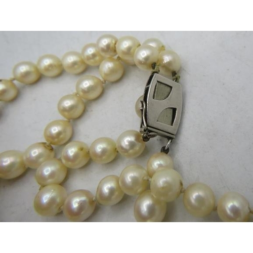 420 - A vintage double strand of individually knotted pearls with white metal clasp. Approx 16