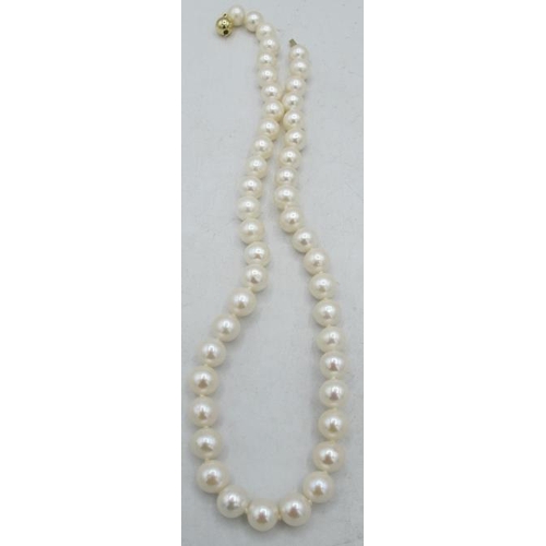 446 - A strand of round individually knotted white cultured pearls on a 9ct yellow gold ball clasp. Each p... 