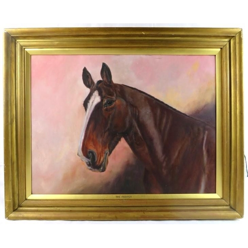 542 - B Boese (20th century) - A framed oil on board, study of a horse, entitled 'The Pauper', signed lowe... 