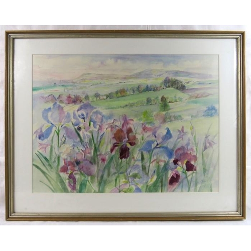 553 - Joyce Oliver ARCA (20th century) - A framed and glazed watercolour entitled 'Painswick Valley Iris's... 