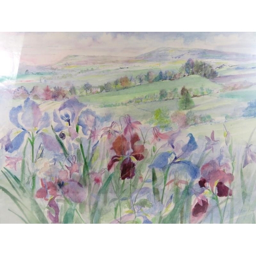 553 - Joyce Oliver ARCA (20th century) - A framed and glazed watercolour entitled 'Painswick Valley Iris's... 