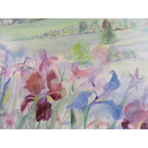 553 - Joyce Oliver ARCA (20th century) - A framed and glazed watercolour entitled 'Painswick Valley Iris's... 