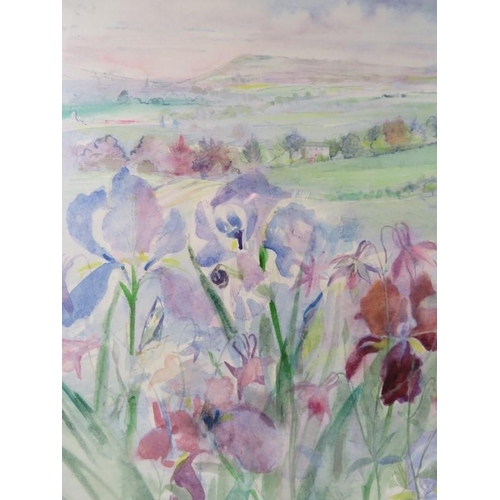 553 - Joyce Oliver ARCA (20th century) - A framed and glazed watercolour entitled 'Painswick Valley Iris's... 