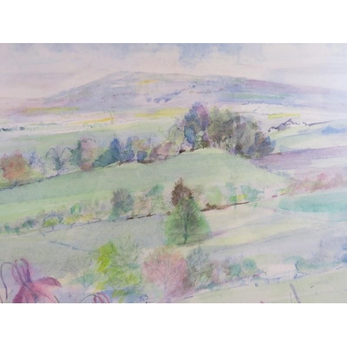 553 - Joyce Oliver ARCA (20th century) - A framed and glazed watercolour entitled 'Painswick Valley Iris's... 