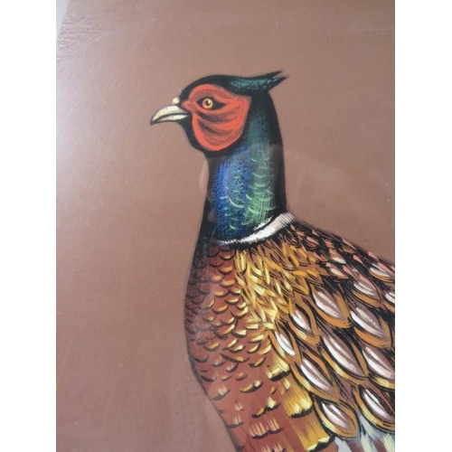 556 - Brian Bow Hill (20th century) - A framed and glazed watercolour, 'study of a pheasant', signed and d... 