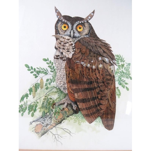 577 - P.R. Hobson (1982) - 'Owl perched on a branch', watercolour, signed and dated 1982, 35cm x 29cm, fra... 