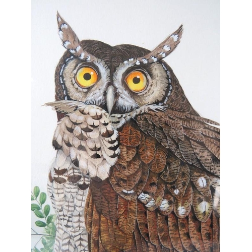 577 - P.R. Hobson (1982) - 'Owl perched on a branch', watercolour, signed and dated 1982, 35cm x 29cm, fra... 