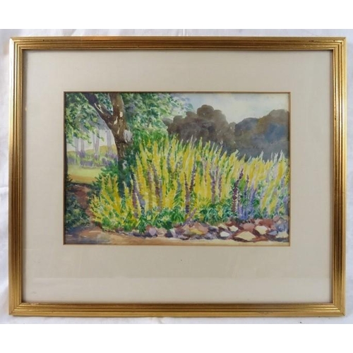 586 - The late Viscountess Farnley (20th century) - A framed and glazed watercolour, 'Cator Lodge Gardens,... 