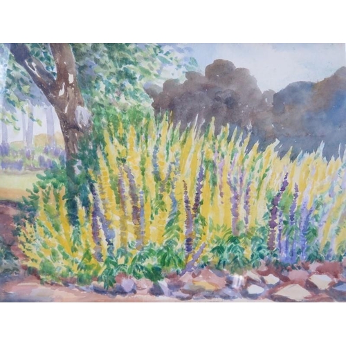 586 - The late Viscountess Farnley (20th century) - A framed and glazed watercolour, 'Cator Lodge Gardens,... 