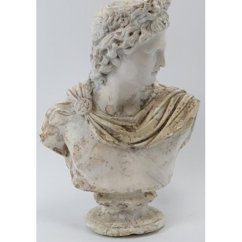 81 - A Brucciani & Co of London plaster cast bust of Apollo Belvedere. 33.3 cm height.
Condition report: ... 