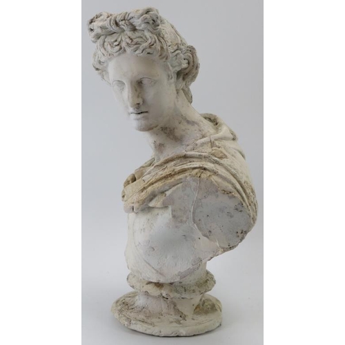 81 - A Brucciani & Co of London plaster cast bust of Apollo Belvedere. 33.3 cm height.
Condition report: ... 