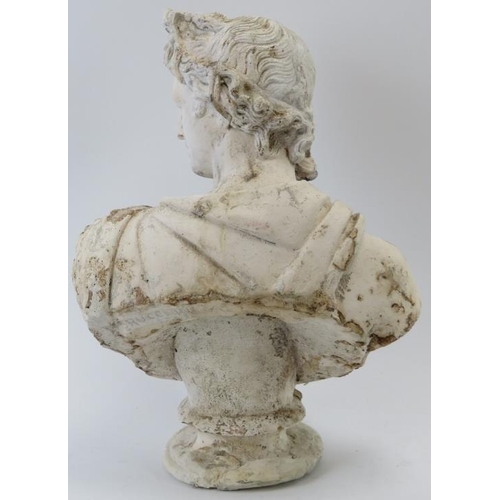 81 - A Brucciani & Co of London plaster cast bust of Apollo Belvedere. 33.3 cm height.
Condition report: ... 