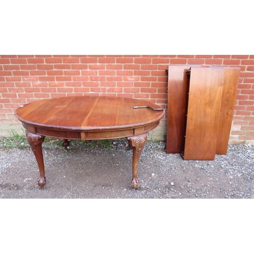 850 - An antique mahogany oval wind-out extending dining table, having three additional leaves, on shell c... 