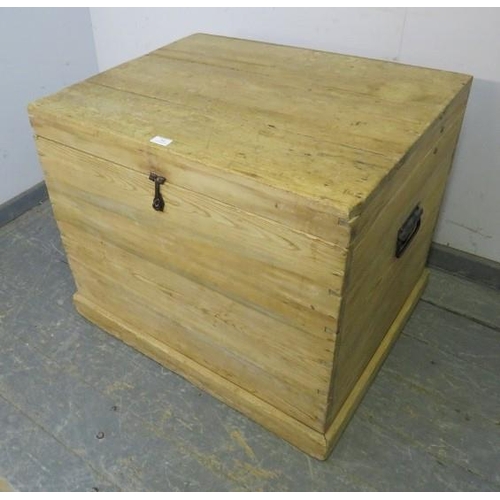 864 - A large antique stripped pine corn box/flat topped trunk with hasp and stable catch and carry handle... 