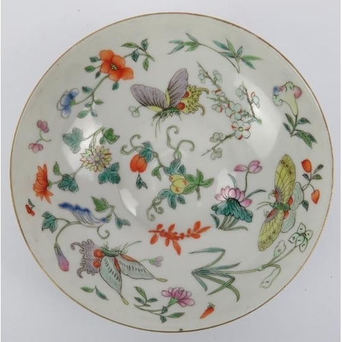 10 - A Chinese famille rose cup and saucer, early 19th century. Both decorated with butterflies amongst f... 