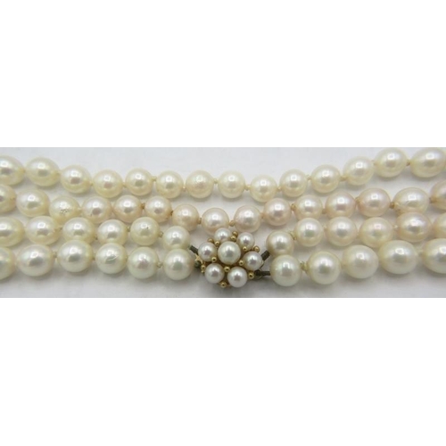 344 - A double strand individually knotted pearl necklace on a 9ct yellow gold pearl clasp, makers JKa. Ea... 