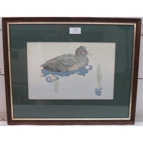 573 - David Cook Aua, Kent artist - A framed and glazed ink/watercolour, title 'Coot'. 20cm x 30.5cm.
Cond... 