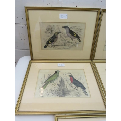 574 - Eight framed and glazed coloured plates, 6 studies of birds and two of animals, 15cm x 24cm each app... 