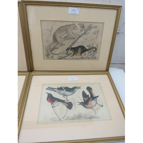 574 - Eight framed and glazed coloured plates, 6 studies of birds and two of animals, 15cm x 24cm each app... 