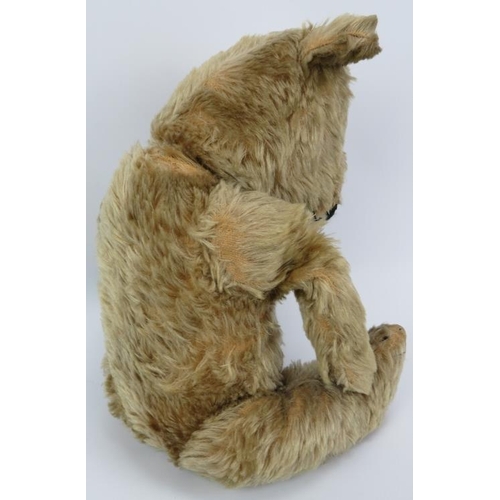 232 - A vintage golden mohair plush teddy bear with growler. 55 cm approximate height.
Condition report: S... 