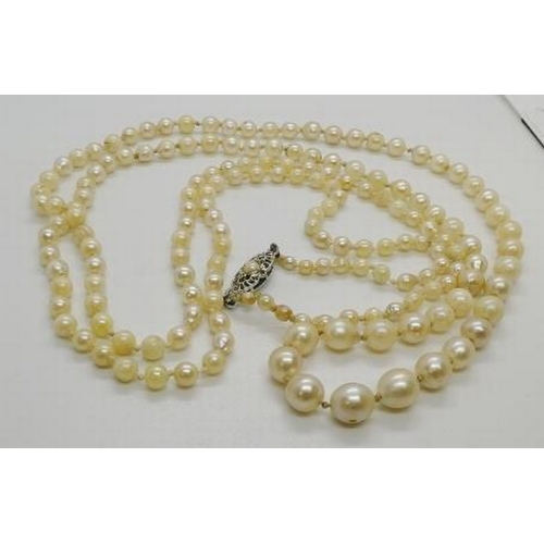 374 - A cultured pearl sautoir necklace, the graduated pearl from 3-3.5mm to 7.5-8mm, 100cm long, with sil... 