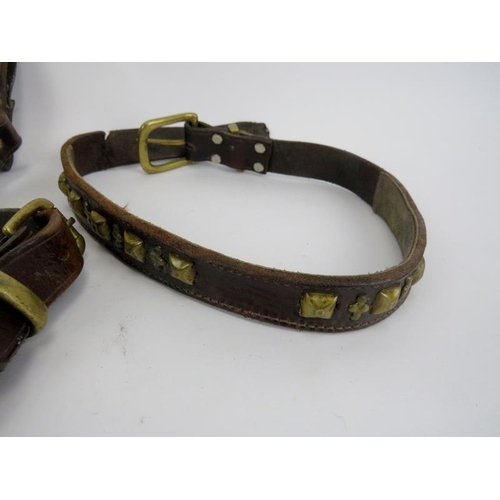 42 - A vintage leather and brass mounted bull dog harness and collar. Harness: 67 cm approximate length. ... 