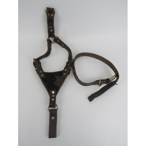 42 - A vintage leather and brass mounted bull dog harness and collar. Harness: 67 cm approximate length. ... 