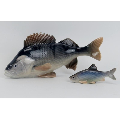 50 - A Royal Copenhagen porcelain model of a perch and a Bing & Grondahl model of a roach. Royal Copenhag... 