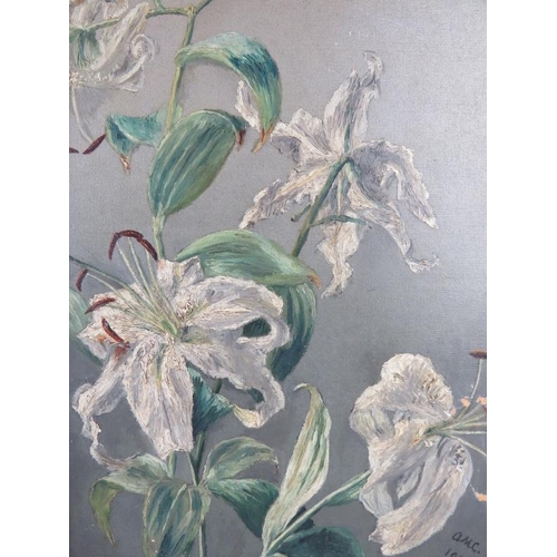 508 - British School - A pair of framed oil on board early 20th century 'study of flowers', signed mono lo... 