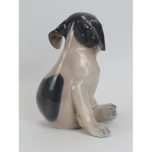 53 - A large Royal Copenhagen porcelain pointer puppy figurine. Numbered 259. 19.5 cm height. 
Condition ... 