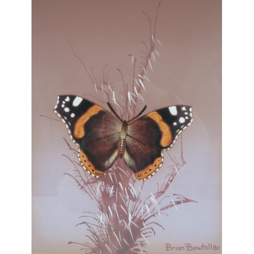 560 - Brian Bowhill (British, 20th century) - A pair of framed & glazed watercolour studies of 'Butterflie... 