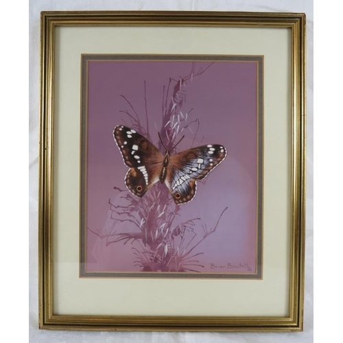 560 - Brian Bowhill (British, 20th century) - A pair of framed & glazed watercolour studies of 'Butterflie... 