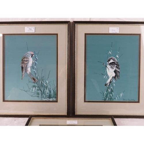 566 - Brian Bowhill (20th century) - A set of three framed & glazed watercolours, 'Study of birds', signed... 