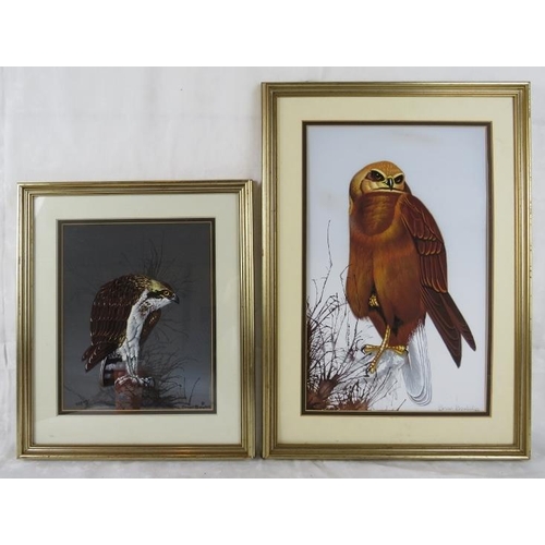 568 - Brian Bowhill (British, 20th century) - Two framed watercolours, 'Study of an osprey', 15